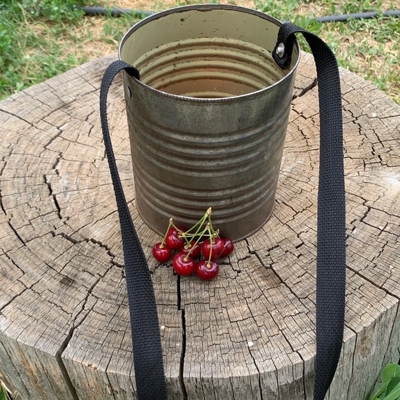 Meet your Posher, Marti - Picture 7 of 8